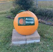 Access Storage - 19238 Texas 62 Orange, TX 77630
