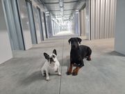 Apollo Self Storage - 130 Thunder Road Pinebluff, NC 28373
