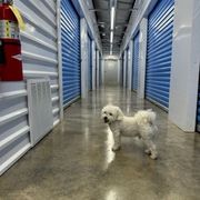 Local Storage USA - 1664 Georgia 52 Dahlonega, GA 30533