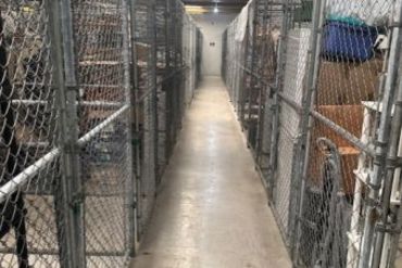 Naples Mini Storage - 3706 Domestic Ave Naples, FL 34104