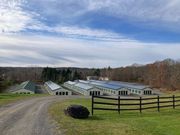 Storage Sense - 1101 New York 295 East Chatham, NY 12060