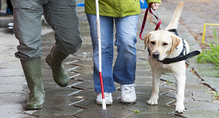 Moving Guide for Families of People with Blindness and Vision Impairments