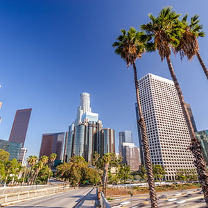 Moving to Los Angeles: Why is Everything Different There?