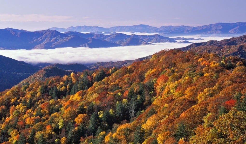 The Great Smoky Mountains National Park turns 85 today 