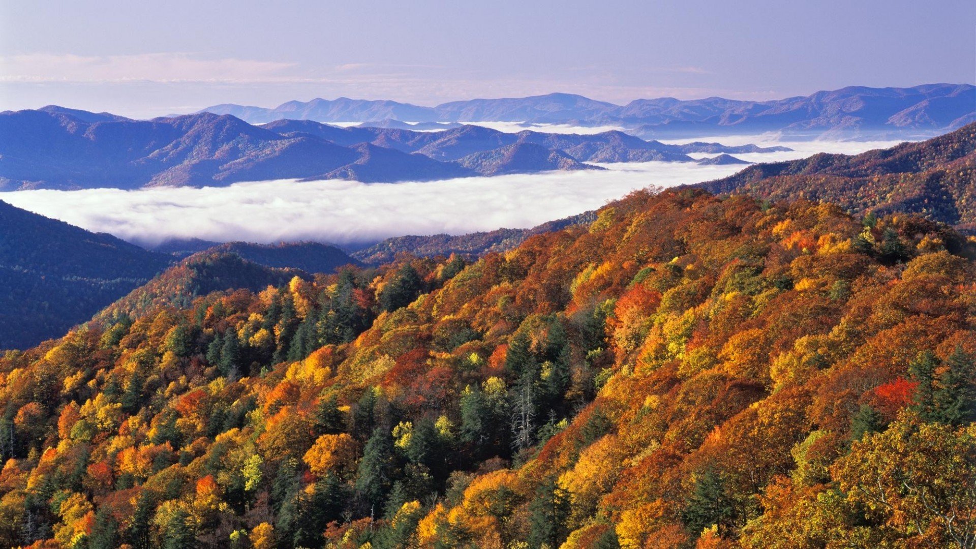 original_river-of-fog-great-smoky-mountains-national-park-north-carolina-wallpapers.1920x1080.jpg