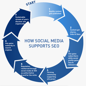 How SEO and Social Media Work Together to Build a Platform