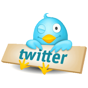 Everything Your Self Storage Business Needs to Know about Twitter's New Update