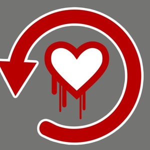 Guarding Your Self Storage Business Against Heartbleed